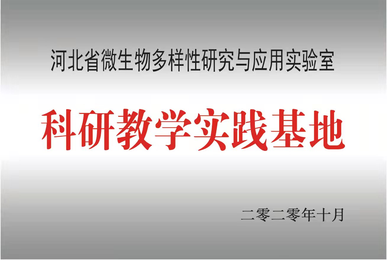 ���н�ѧʵ������