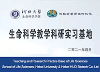 ������ѧ��ѧ����ʵϰ����